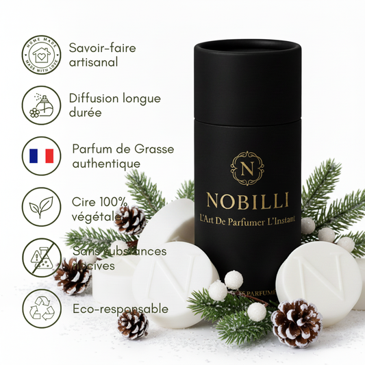 Boîte de 6 fondants parfumés "Châlet en Laponie"